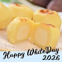 �y�z���C�g�f�[�z���B�|�e�g�U��