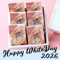 �y�z���C�g�f�[�z���B�|�e�g�U��