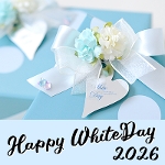 �z���C�g�f�[�M�t�g